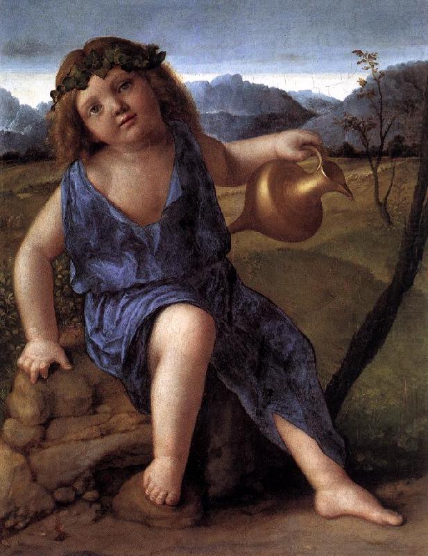 Young Bacchus ffh, BELLINI, Giovanni